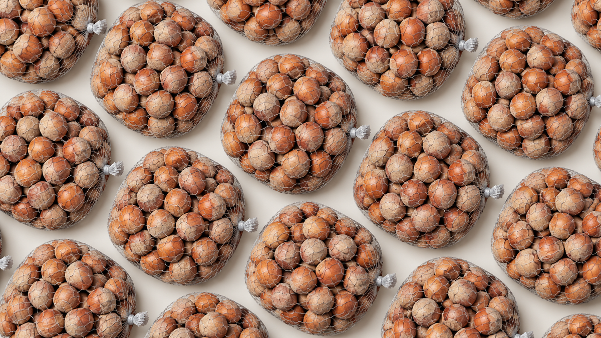 Nocciole in guscio 500g